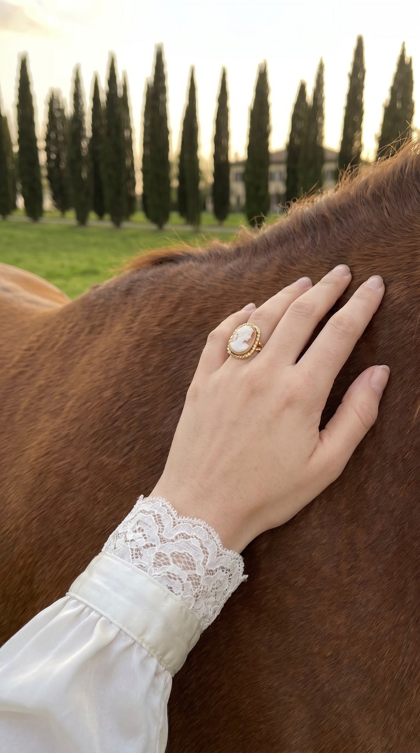 Square 18k Gold Cameo Ring
