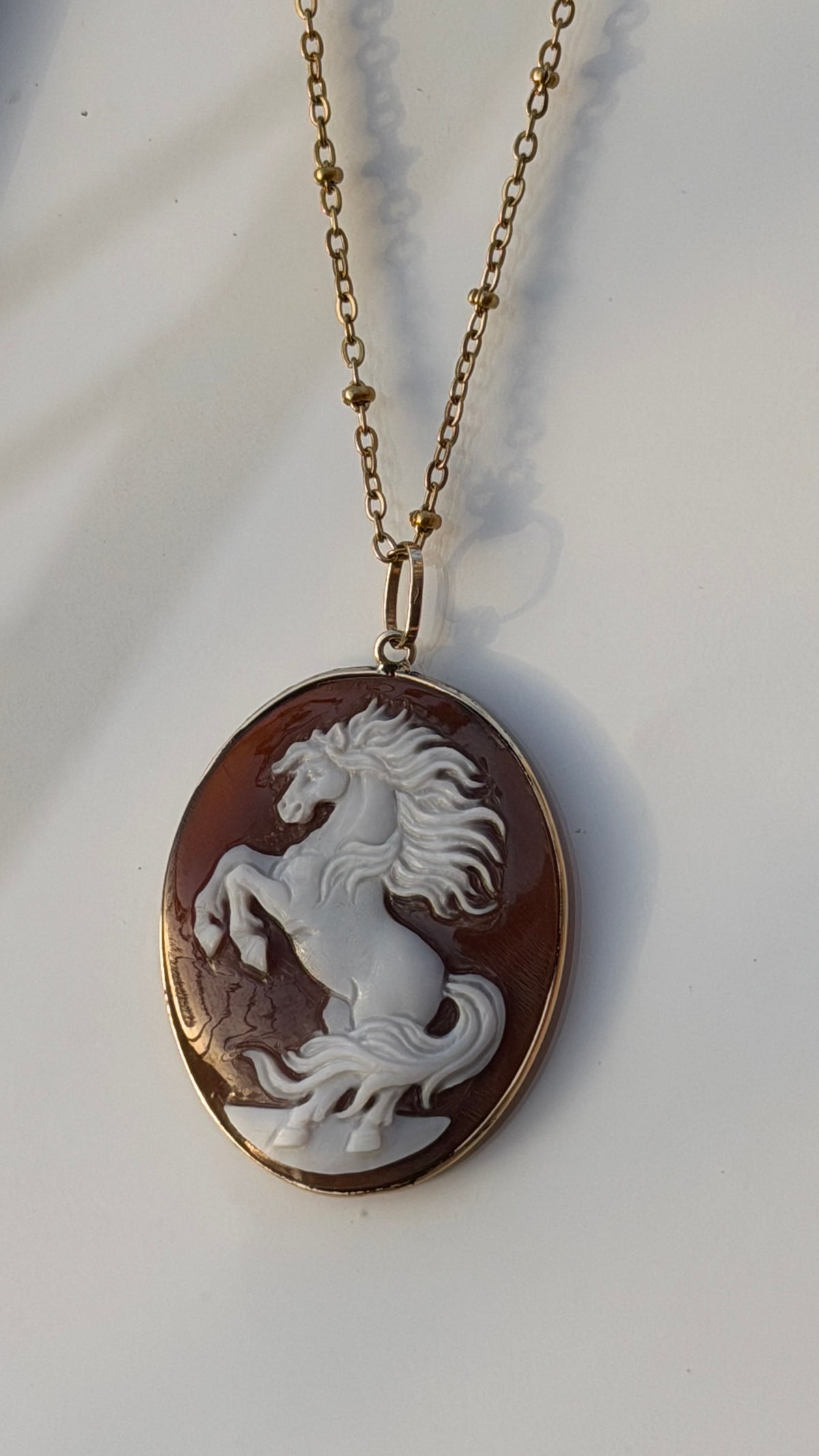 Wild Horse Cameo