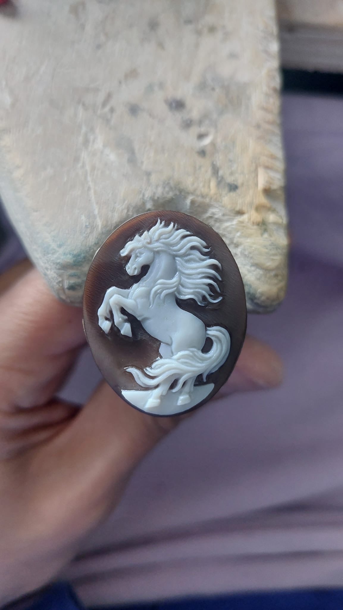 Wild Horse Cameo