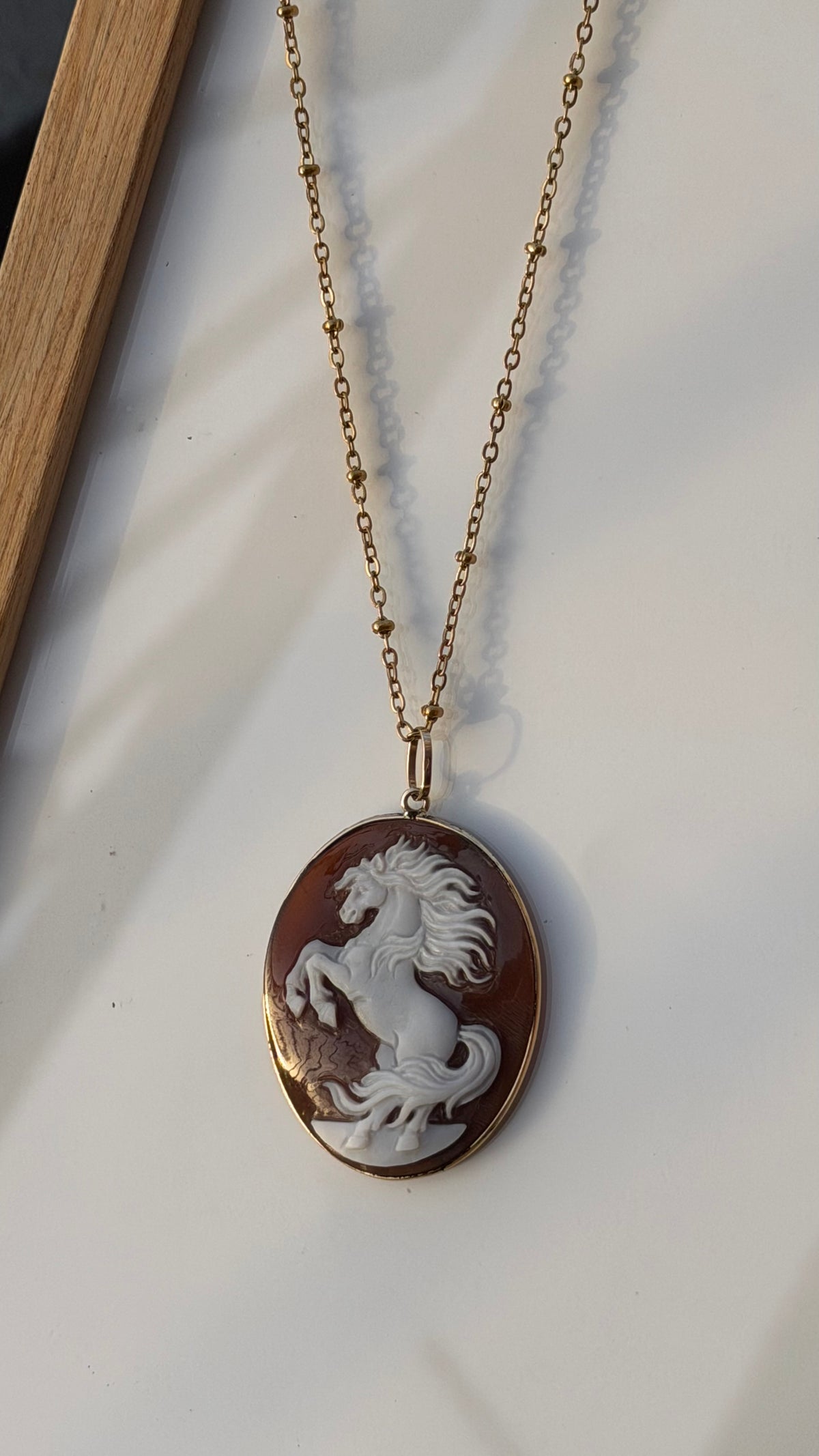 Wild Horse Cameo