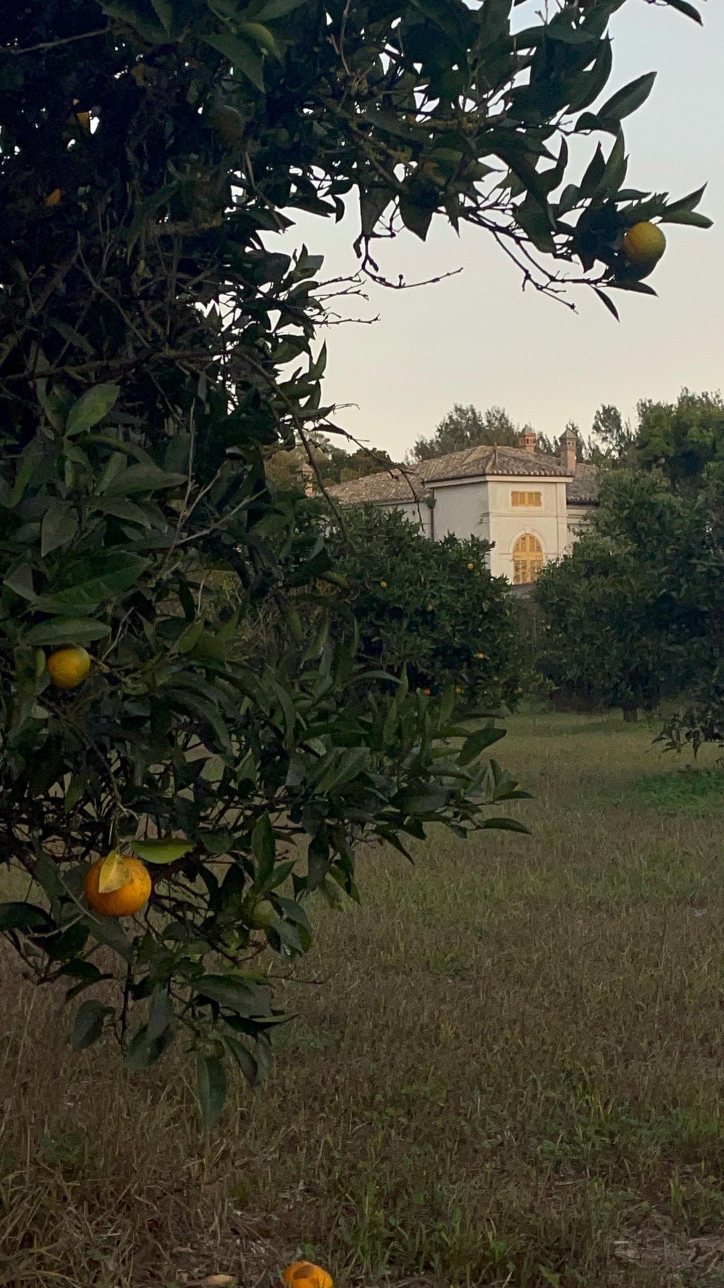 Tweed Makeup Bag | with personalised name