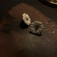 Floral Cameo Earrings, 100% seashell