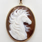 WESTERN HORSE Cameo