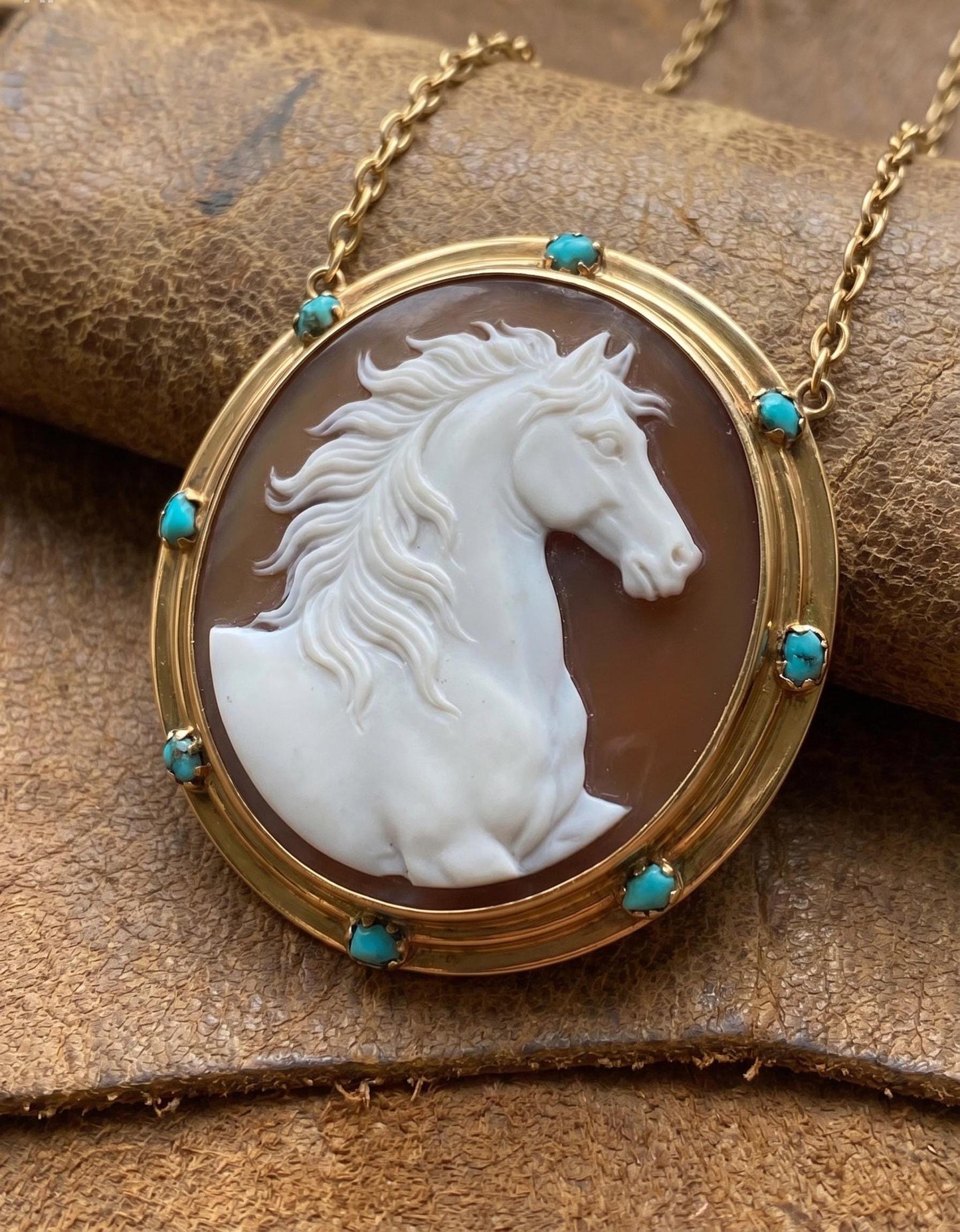 WESTERN HORSE Cameo