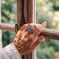 Mother & Child cameo ring